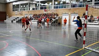 Final Balonmano FECEM -Cerbuna